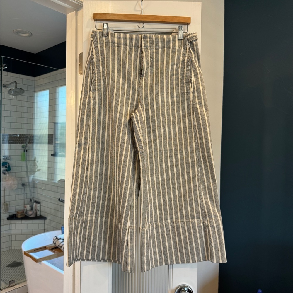 Anthropologie Pilcro Wide Leg Crop Pants Size 29